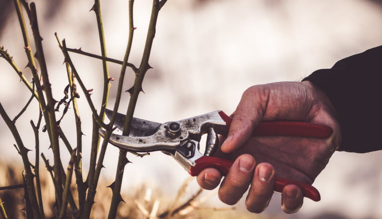 Source : Adobe Stock